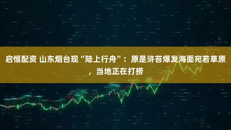 启恒配资 山东烟台现“陆上行舟”：原是浒苔爆发海面宛若草原，当地正在打捞