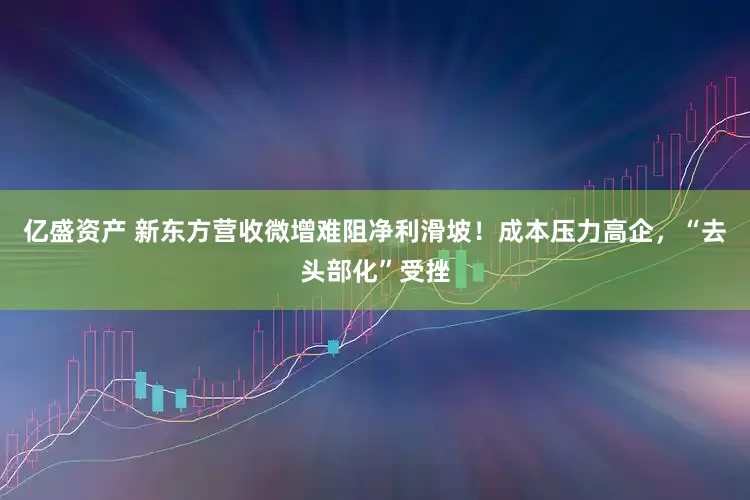亿盛资产 新东方营收微增难阻净利滑坡！成本压力高企，“去头部化”受挫