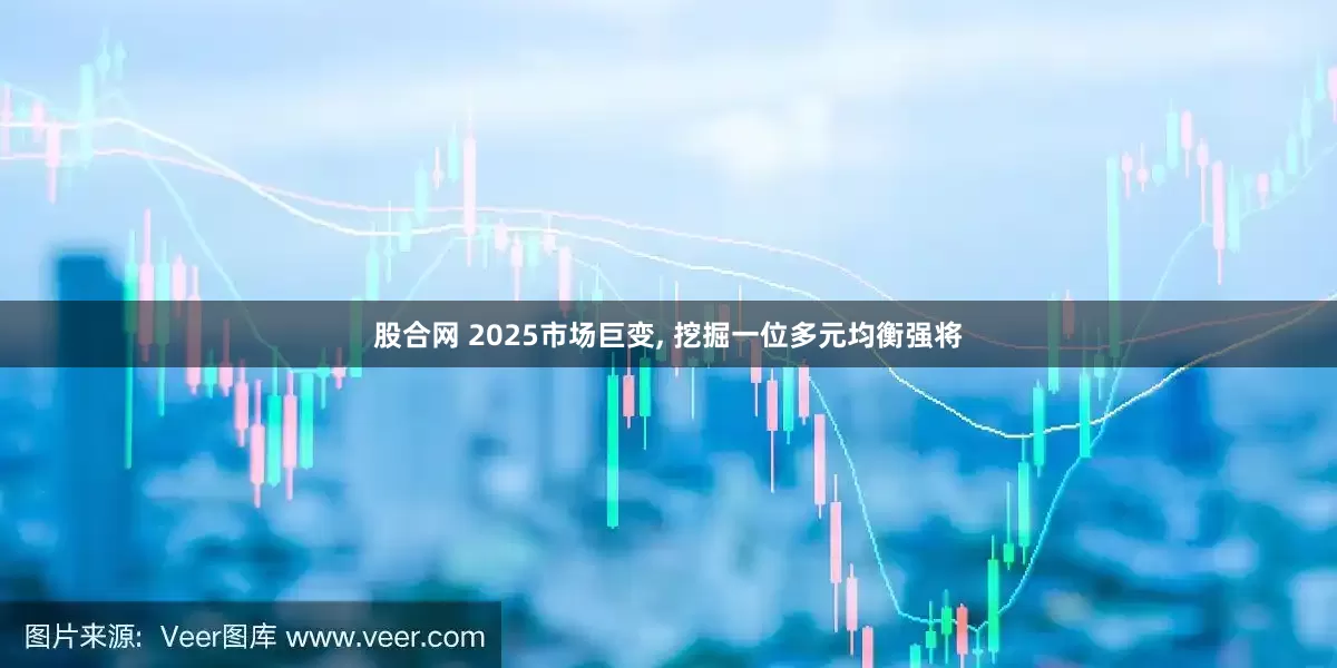 股合网 2025市场巨变, 挖掘一位多元均衡强将